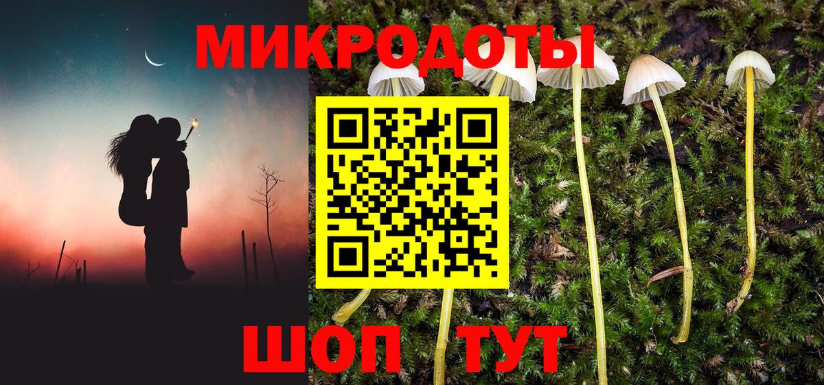 Псилоцибиновые грибы Magic Shrooms  Псилоцибиновые грибы мухоморы  Удомля  купить наркоту  Вход с VPN 